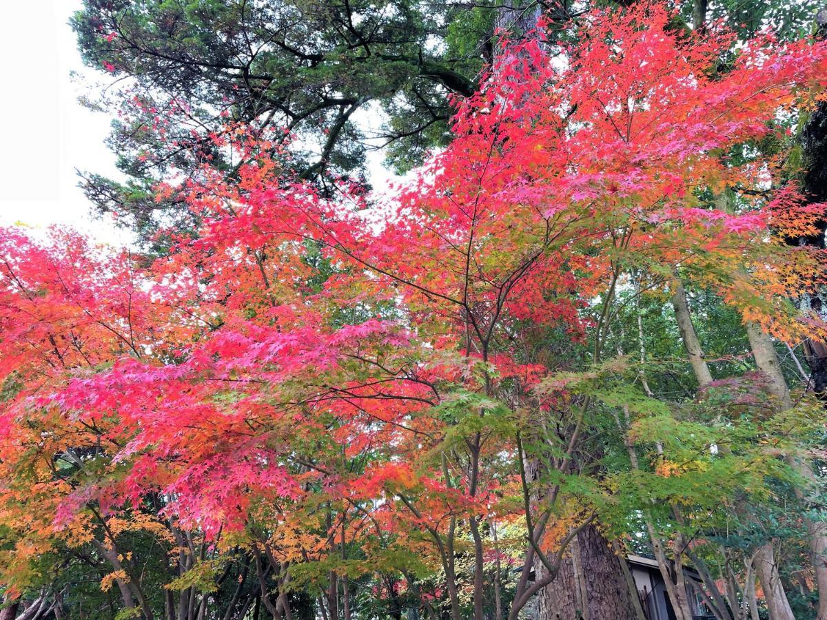 Hotel Amanek Kanazawa Dış mekan fotoğraf